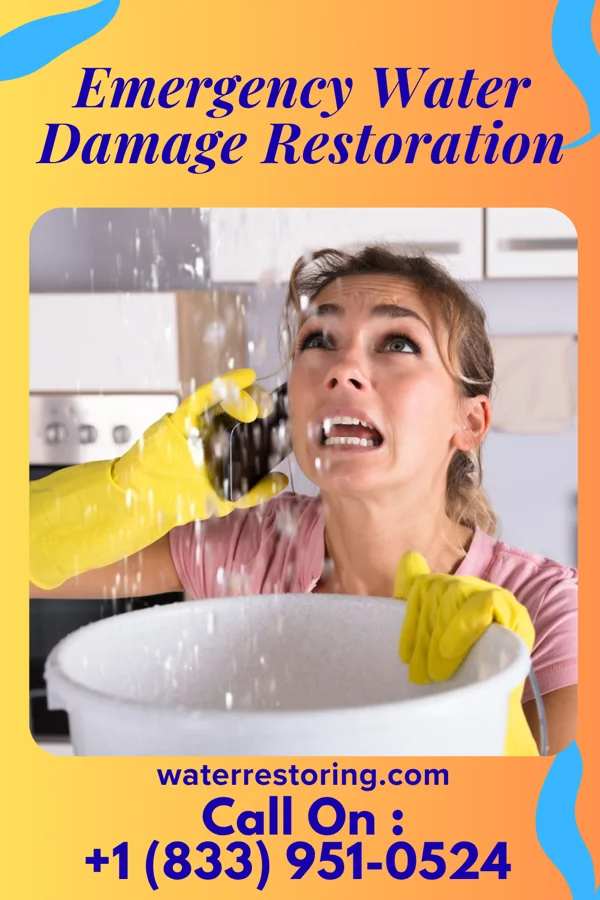Emergency Water Damage Restoration in Alden, MN