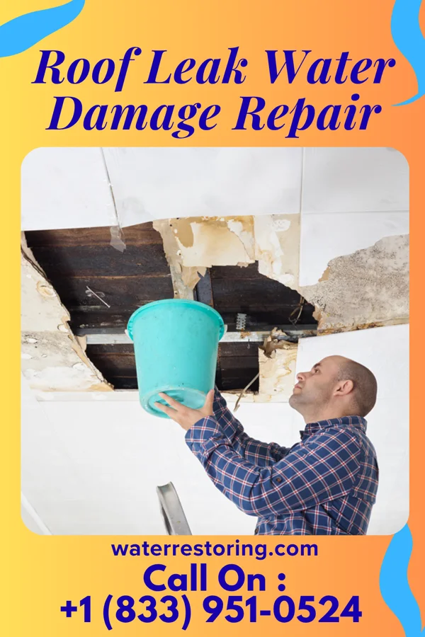 Roof Leak Water Damage Repair in Alden, MN